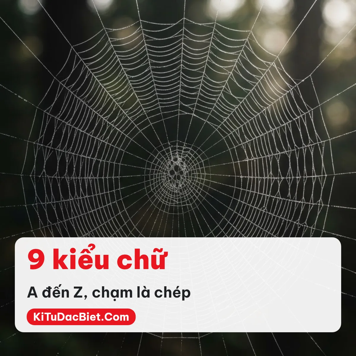 Chín kiểu chữ FF: thư pháp, in đậm, chữ tròn