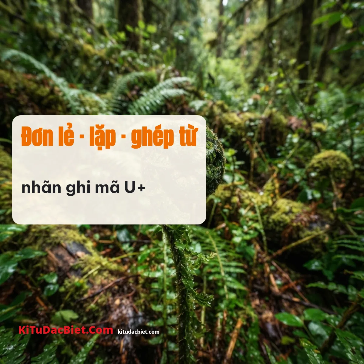 Khoảng trống nhỏ ghép giữa hai từ và trong viền