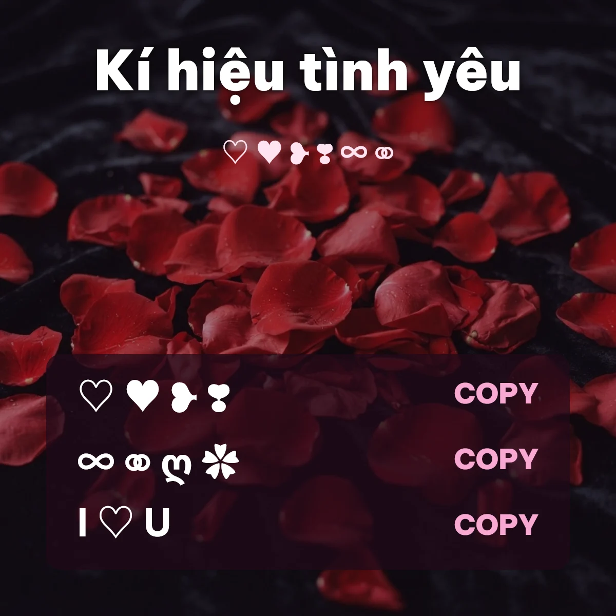 Kí hiệu tình yêu: tim, vô cực và hoa